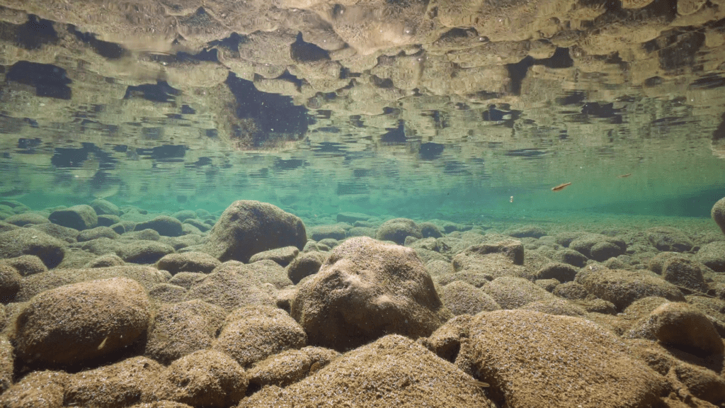 Underwater rocky riverbed in shallow water reflected in the calm water surface